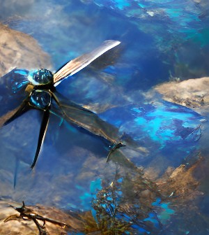 Blue dragonfly on a tree